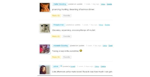 BuddyPress activity stream