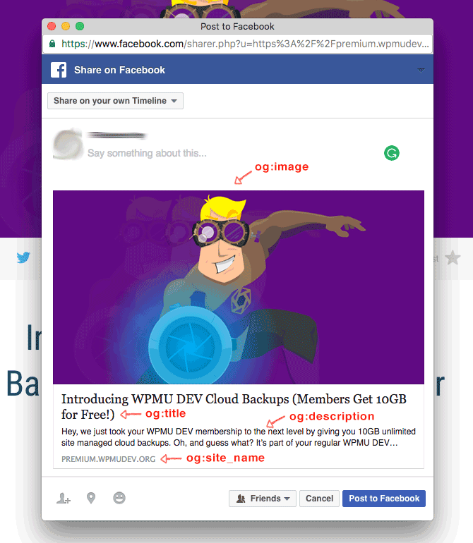 An example of a WPMU DEV posted when shared to Facebook.