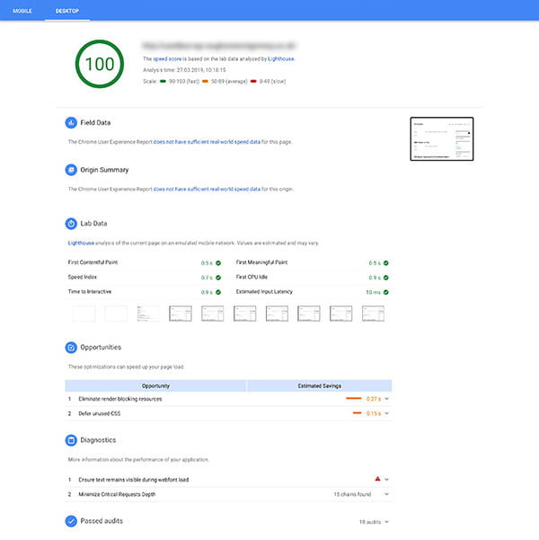 Screenshot of Google PageSpeed Insights