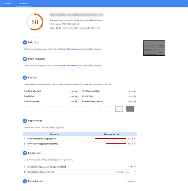Screenshot of Google PageSpeed Insights