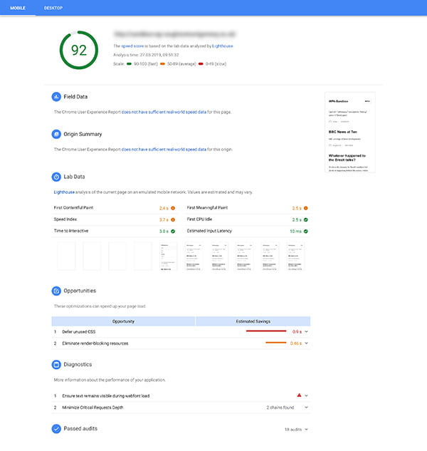 Screenshot of Google PageSpeed Insights
