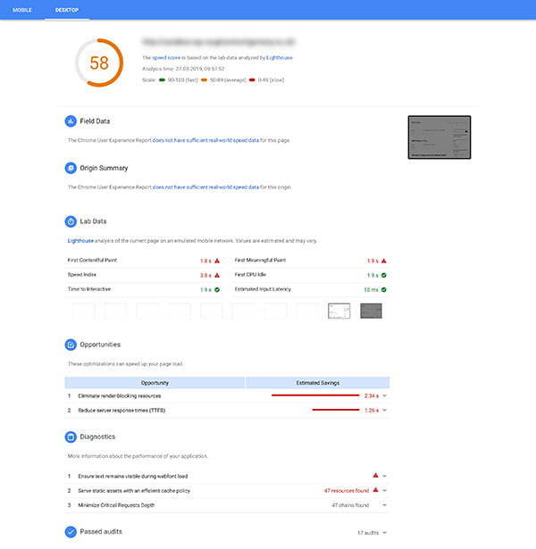 Screenshot of Google PageSpeed Insights