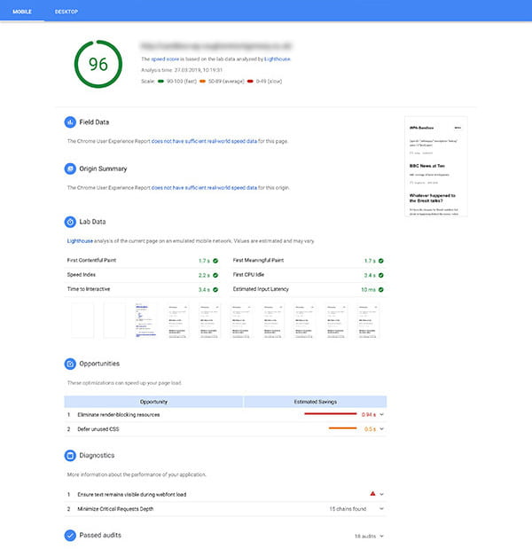 Screenshot of Google PageSpeed Insights