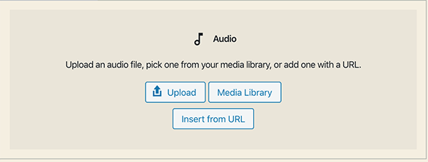 Gutenberg audio player options.