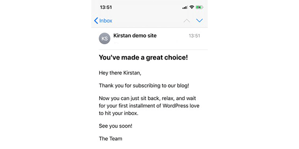 Welcome email from Hustle using the custom text you can enter