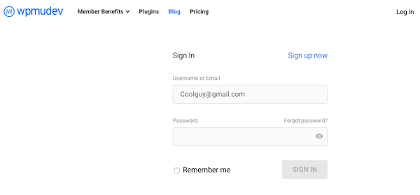 An example of WPMU DEVs WordPress login form