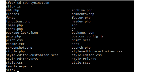 INside the Twenty Ninteen themes folder showing the list of files.