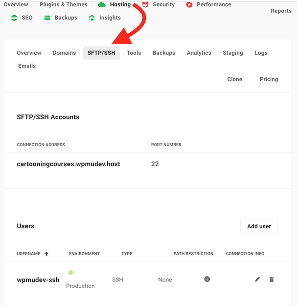 ssh and sftp area in hosting.