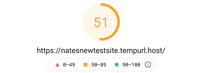 Google pagespeed test of 51