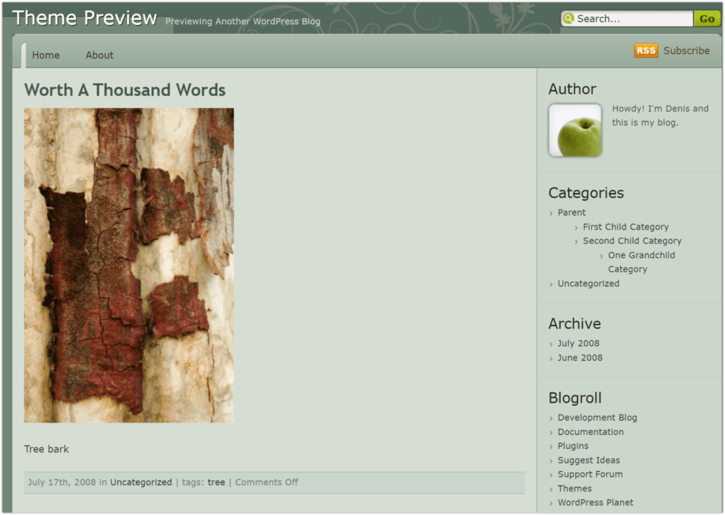 2008 Most Popular Theme – Devart