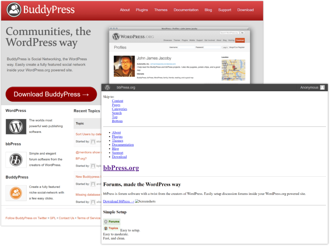 2013 BuddyPress and bbPress 
