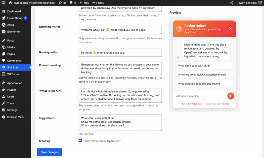 The admin area of Site Brain