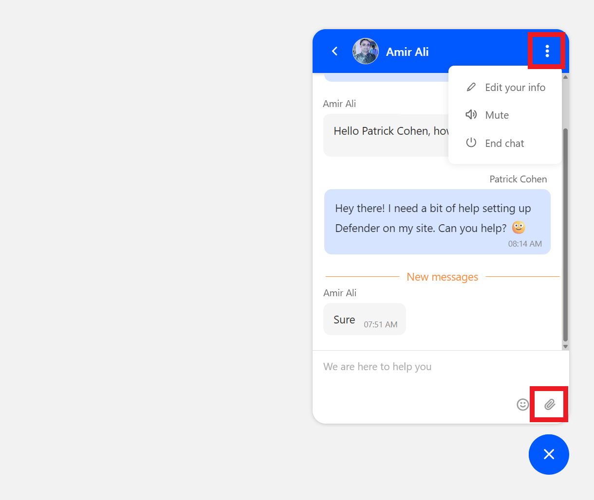 WPMU DEV live chat options