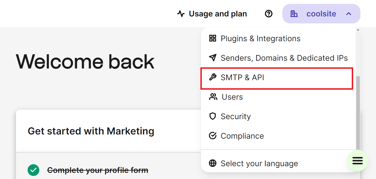 Get Brevo API key for integration with Hustle