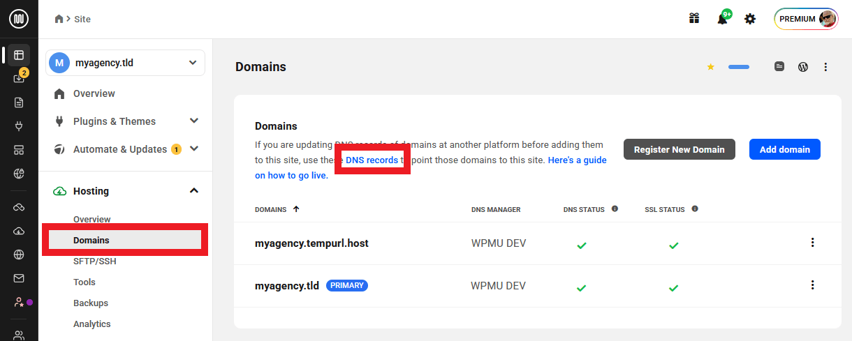 DNS records of a hosted site in the Hub