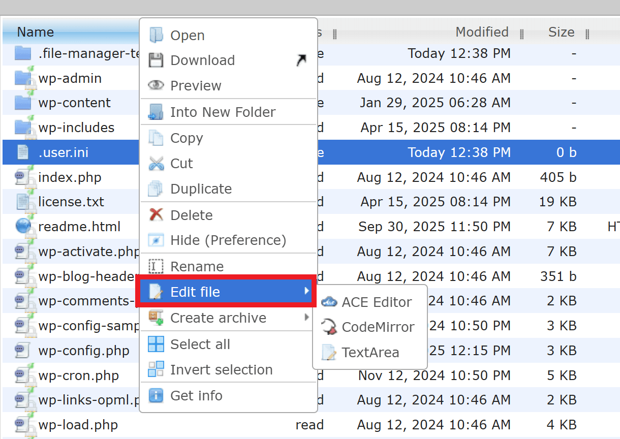 Edit a file in WPMU DEV file manager