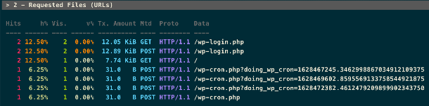 View hosting access log details via SSH