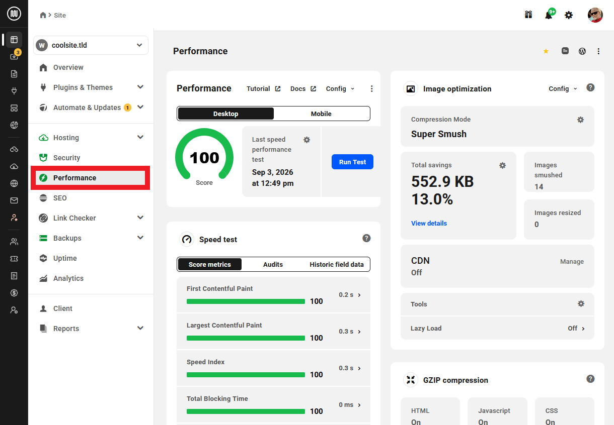 View Site Performance Information