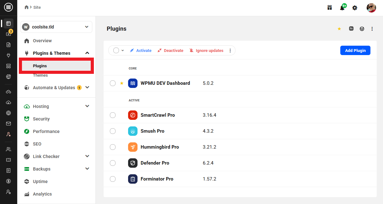 View plugin information of a site