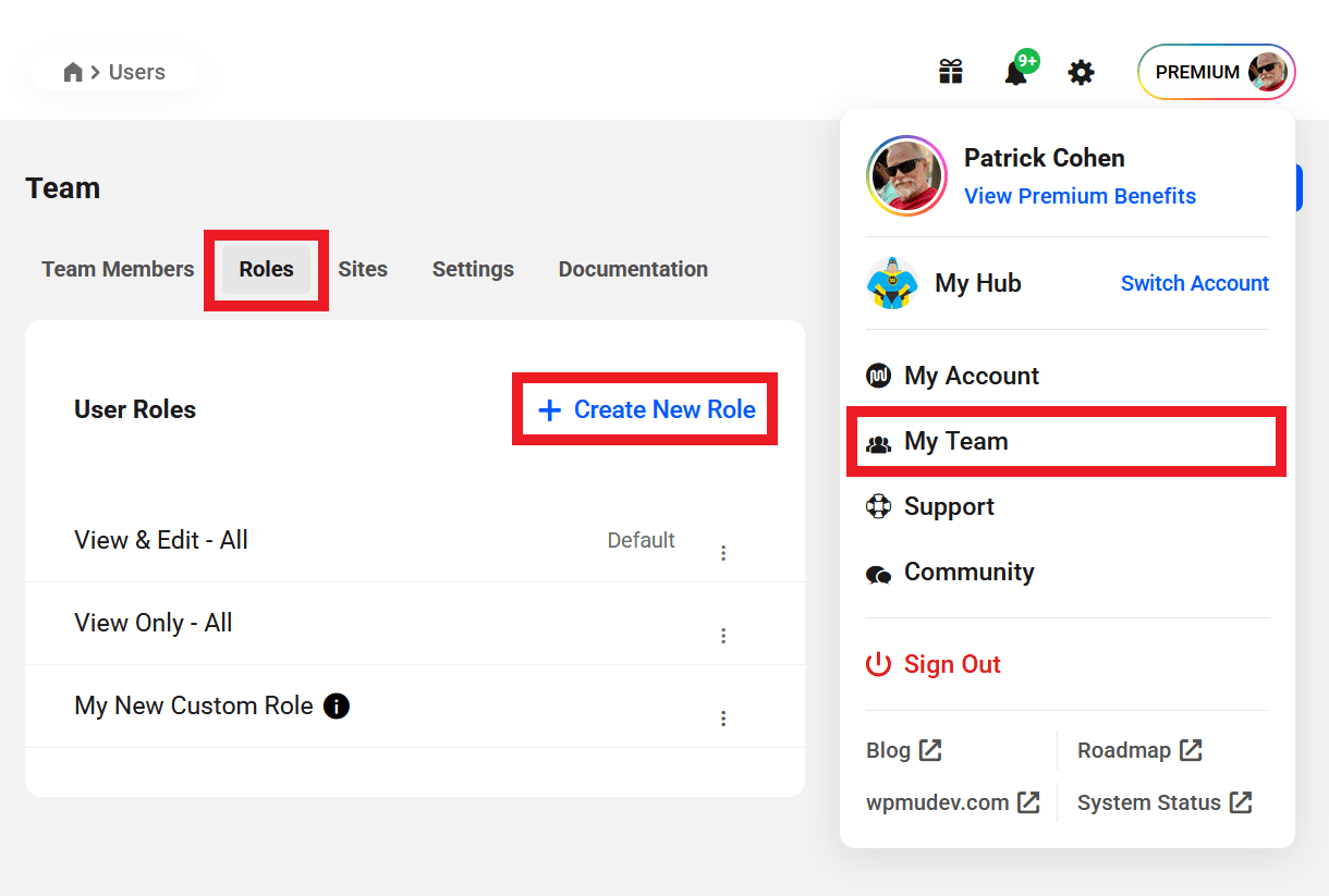 Create a new team role in the Hub
