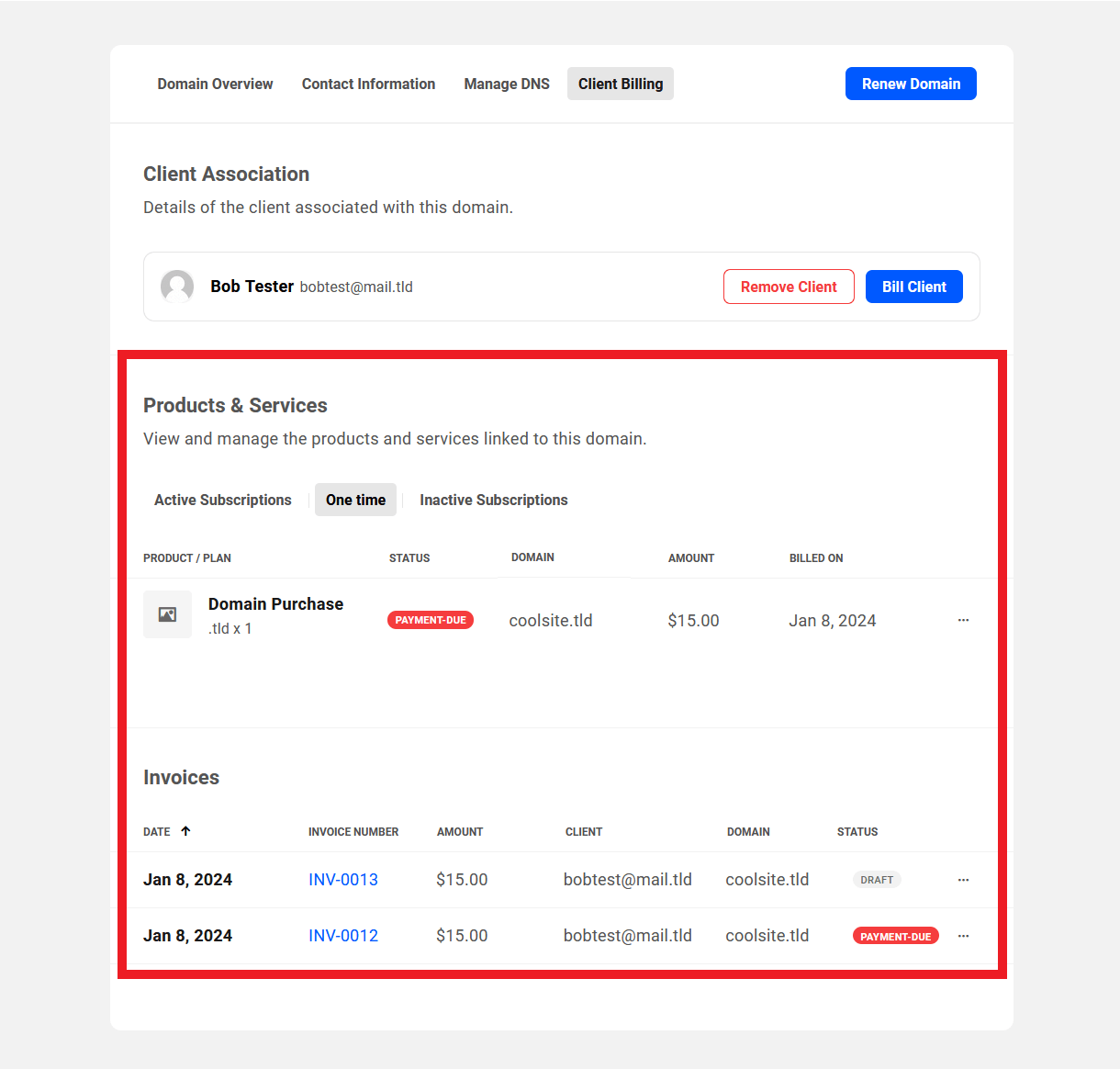 Allows the team member to view the products and invoices for a registered domain