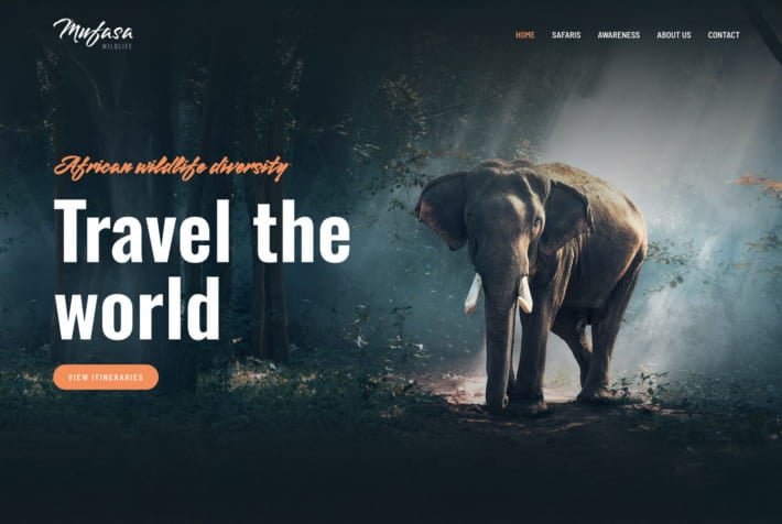 Wildlife Safari